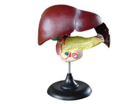 SD-093 33216ʮ֬cKģ